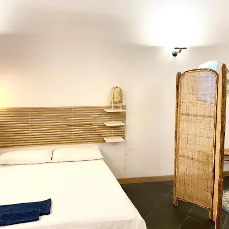 The Jungle * 帕爾馬