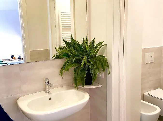 The Jungle * 帕爾馬